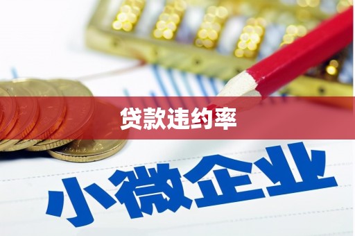 安岳贷款违约率