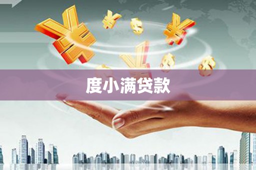 安岳度小满贷款