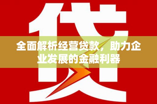 安岳全面解析经营贷款，助力企业发展的金融利器