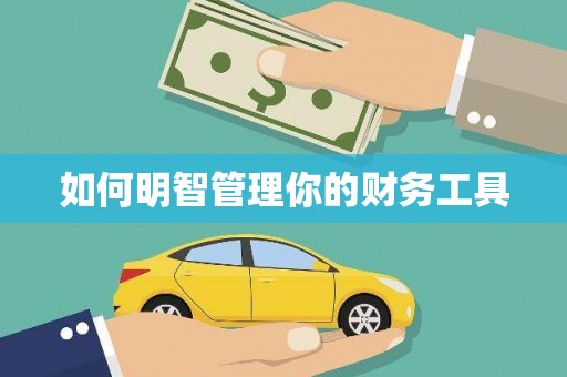 安岳如何明智管理你的财务工具