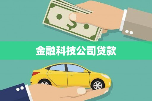 安岳金融科技公司贷款