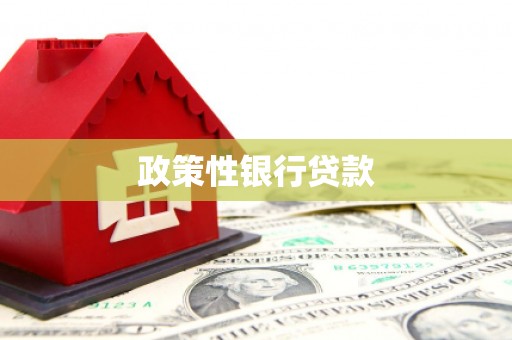 安岳政策性银行贷款