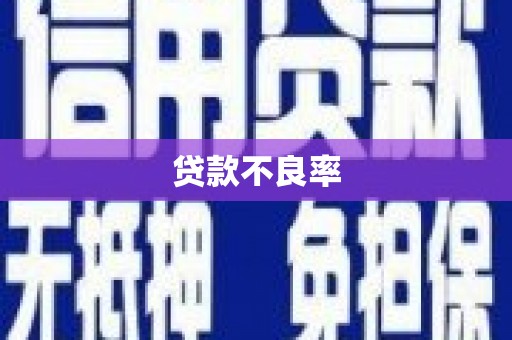 安岳贷款不良率