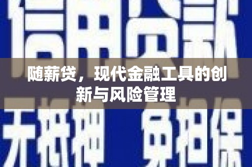 安岳随薪贷，现代金融工具的创新与风险管理