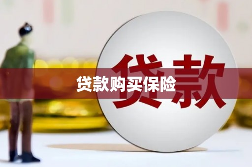 安岳贷款购买保险