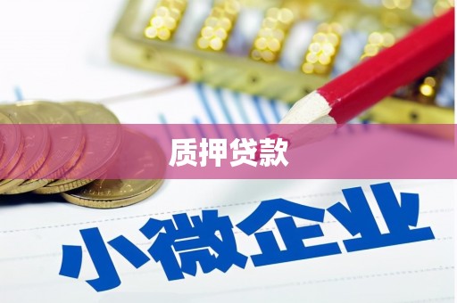 安岳质押贷款