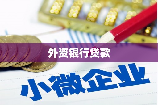 安岳外资银行贷款