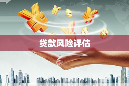 安岳贷款风险评估