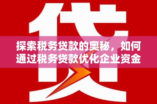 安岳探索税务贷款的奥秘，如何通过税务贷款优化企业资金流
