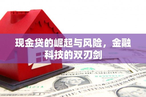 安岳现金贷的崛起与风险，金融科技的双刃剑