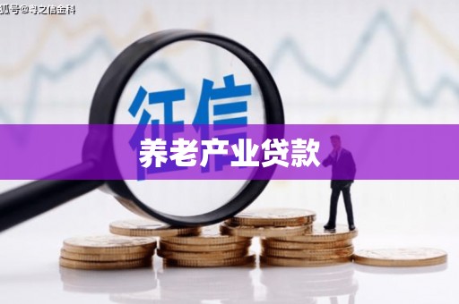 安岳养老产业贷款