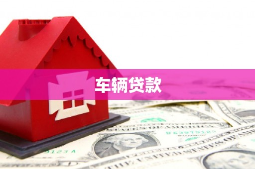 安岳车辆贷款