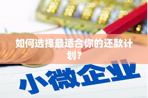 安岳如何选择最适合你的还款计划？