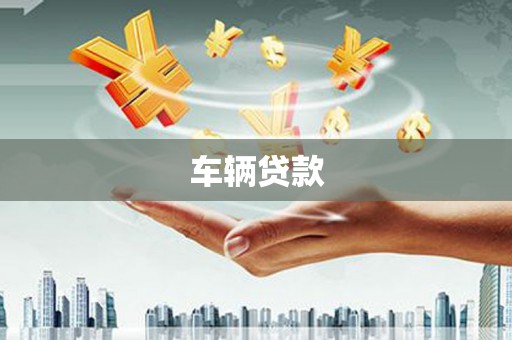 安岳车辆贷款