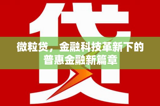 安岳微粒贷，金融科技革新下的普惠金融新篇章