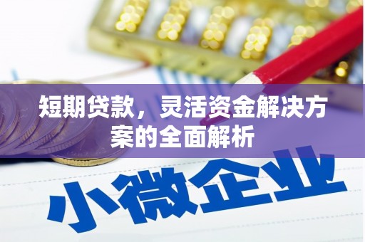 安岳短期贷款，灵活资金解决方案的全面解析