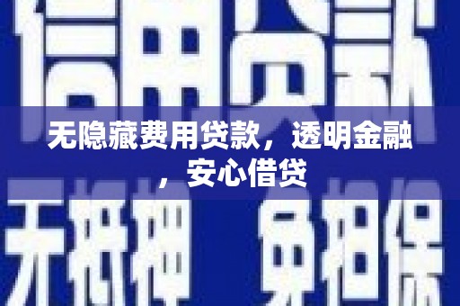 安岳无隐藏费用贷款，透明金融，安心借贷