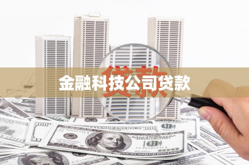 安岳金融科技公司贷款