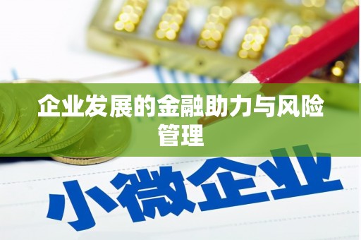 安岳企业发展的金融助力与风险管理