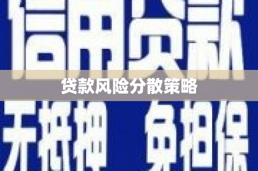 安岳贷款风险分散策略
