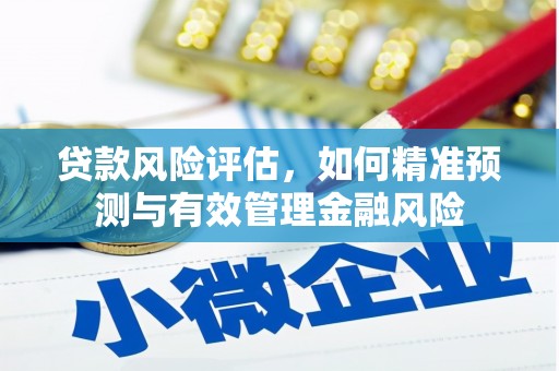 安岳贷款风险评估，如何精准预测与有效管理金融风险