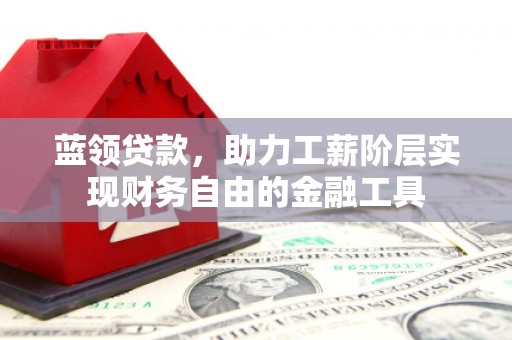 安岳蓝领贷款，助力工薪阶层实现财务自由的金融工具