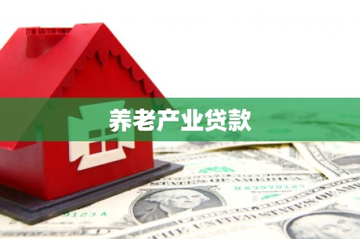 安岳养老产业贷款