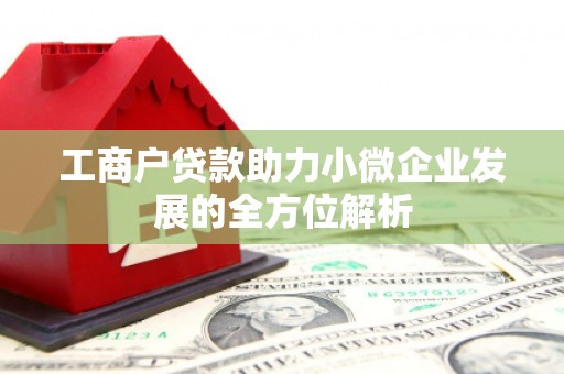 安岳工商户贷款助力小微企业发展的全方位解析