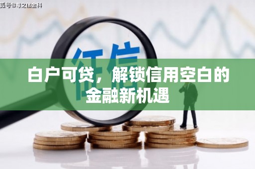 安岳白户可贷，解锁信用空白的金融新机遇