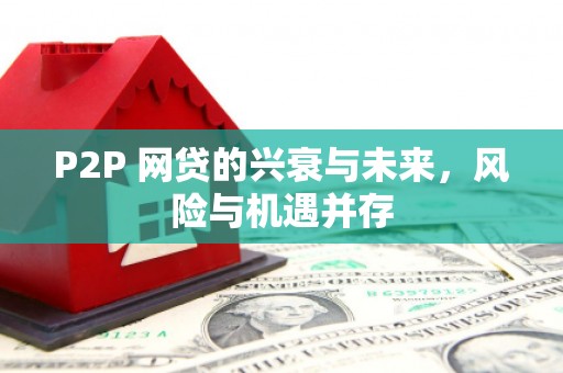安岳P2P 网贷的兴衰与未来，风险与机遇并存