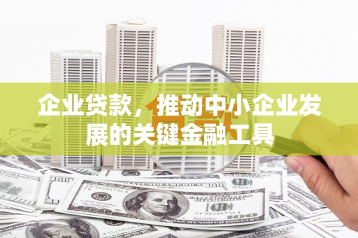 安岳企业贷款，推动中小企业发展的关键金融工具
