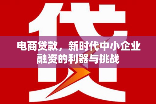 安岳电商贷款，新时代中小企业融资的利器与挑战