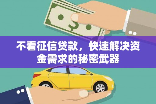 安岳不看征信贷款，快速解决资金需求的秘密武器