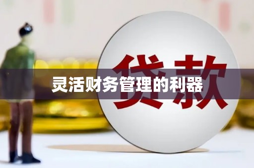 安岳灵活财务管理的利器