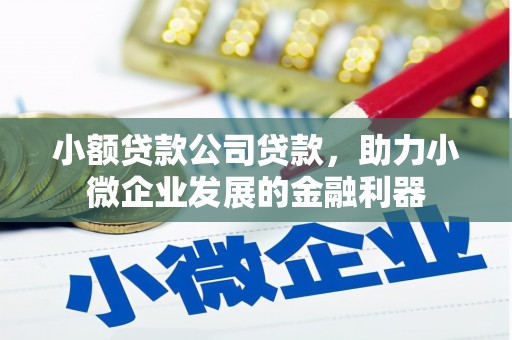 安岳小额贷款公司贷款，助力小微企业发展的金融利器