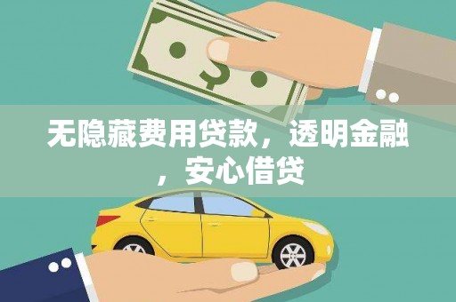 安岳无隐藏费用贷款，透明金融，安心借贷