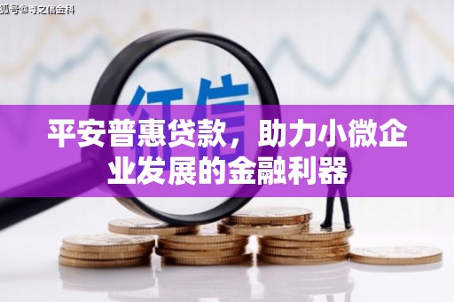 安岳平安普惠贷款，助力小微企业发展的金融利器