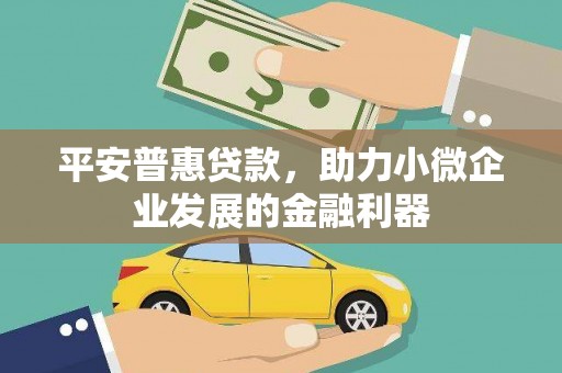 安岳平安普惠贷款，助力小微企业发展的金融利器