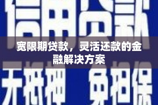 安岳宽限期贷款，灵活还款的金融解决方案
