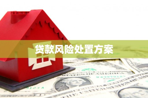 安岳贷款风险处置方案