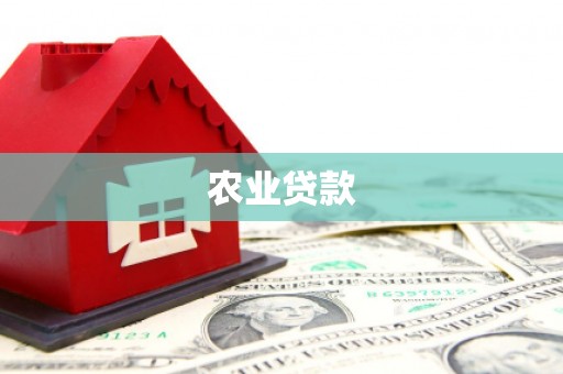 安岳农业贷款