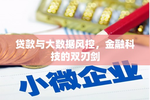 安岳贷款与大数据风控，金融科技的双刃剑