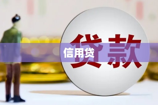 安岳信用贷