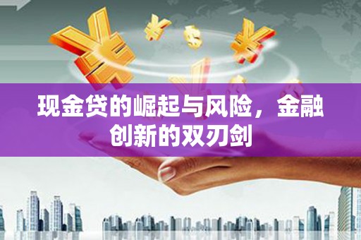 安岳现金贷的崛起与风险，金融创新的双刃剑