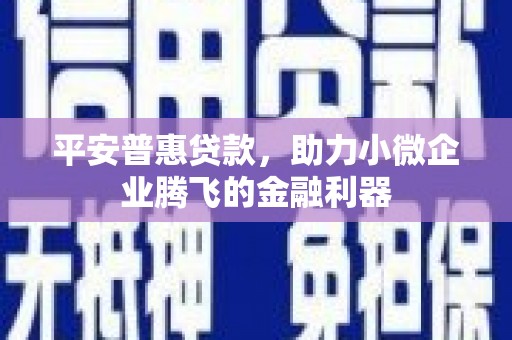 安岳平安普惠贷款，助力小微企业腾飞的金融利器