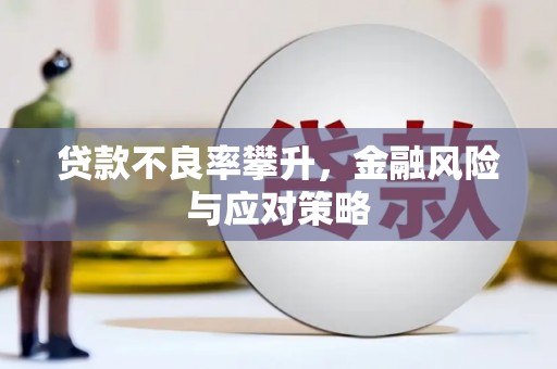 安岳贷款不良率攀升，金融风险与应对策略