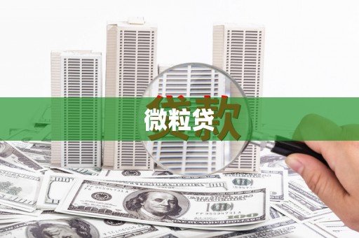 安岳微粒贷