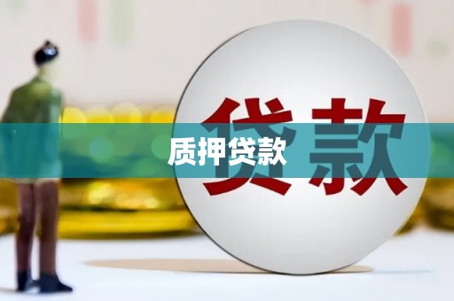 安岳质押贷款