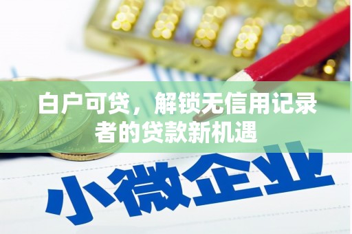 安岳白户可贷，解锁无信用记录者的贷款新机遇