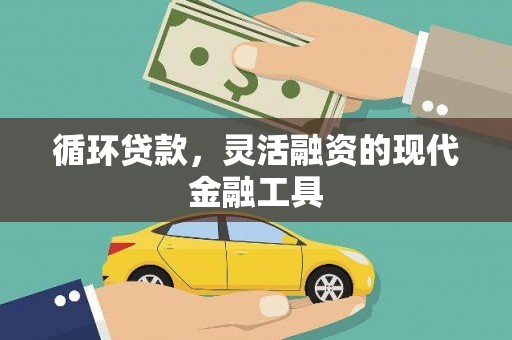 安岳循环贷款，灵活融资的现代金融工具